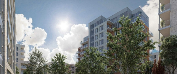 Daylight/Sunlight hero