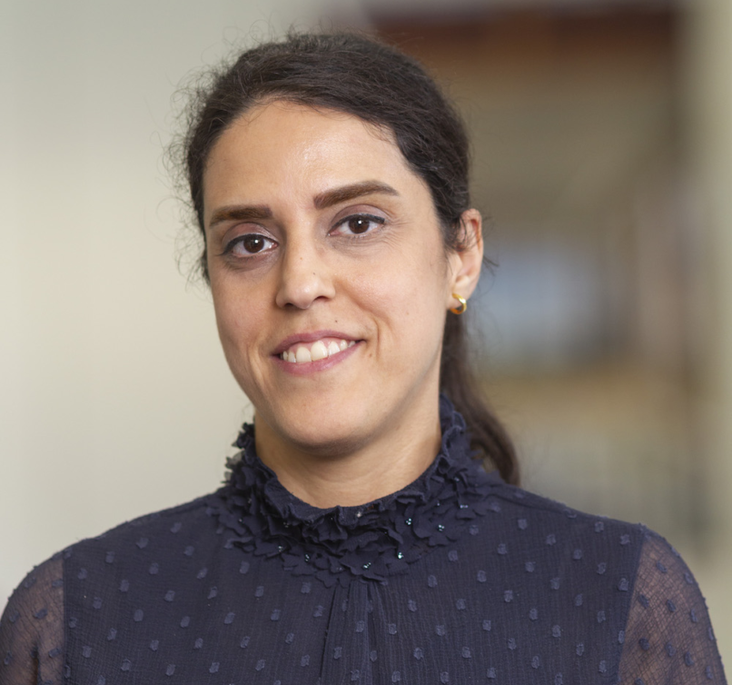 there is no alt tag for this image