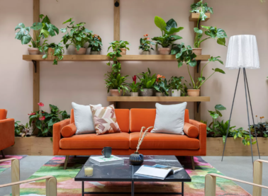 Beckett Locke Hotel 0