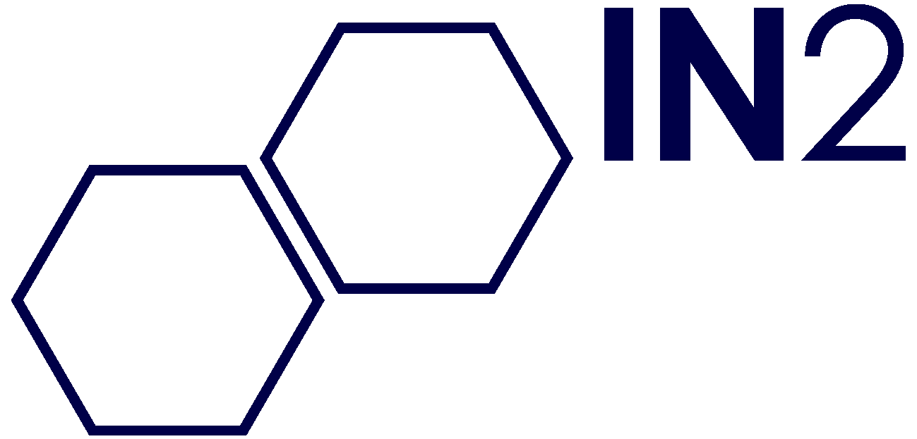 The In2 Logo